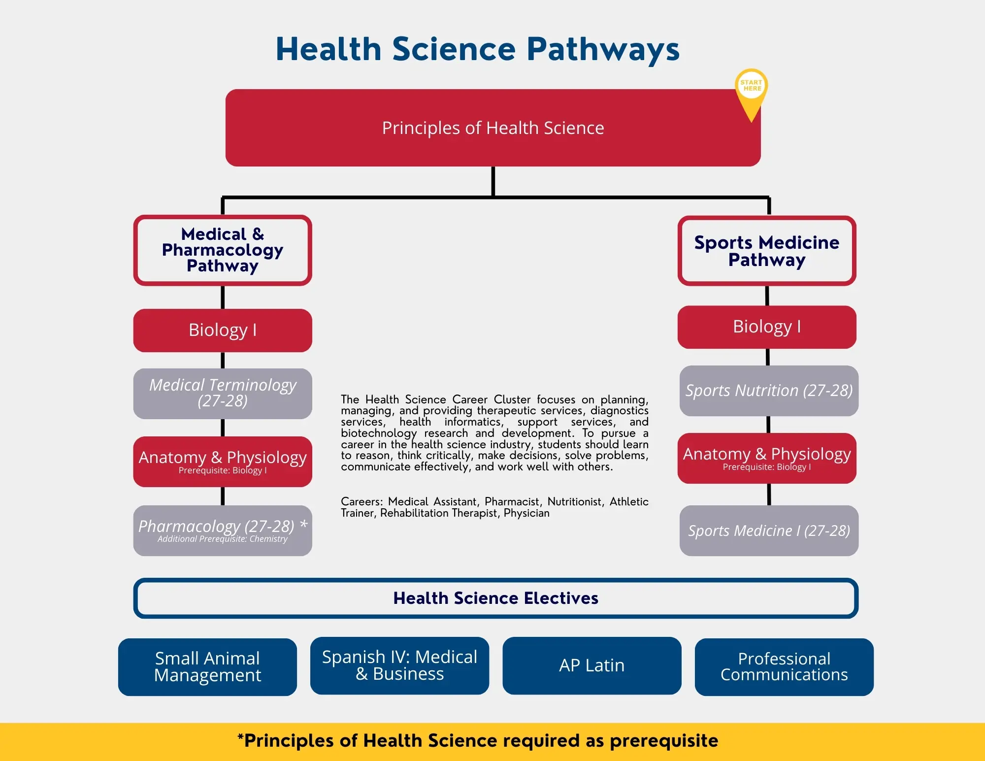 Health Science Pathways