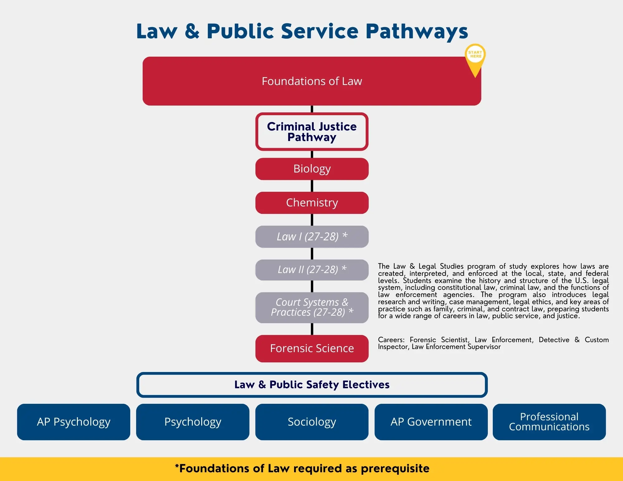 Law and Public Service Pathways